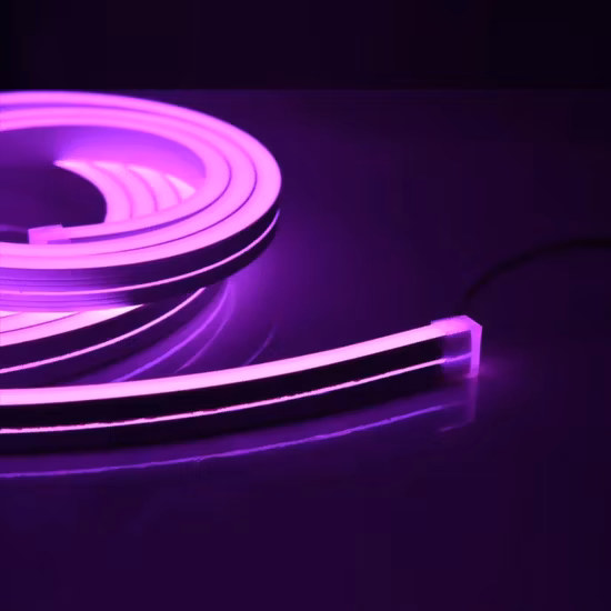 IP67 Waterproof Flexible Silicone Tube Neon Flex Rope Light LED Strip Lights
