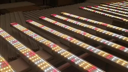 LED Horticultural Lighting LED Grow Light Bar for Flowering Stage