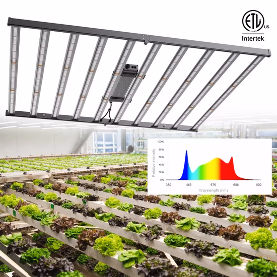 Sundro Sunplus S1000 PRO Horticulture Greenhouse Strips Lamp Full Sepctrum Dimmable Bar Plant 1000W LED Grow Light