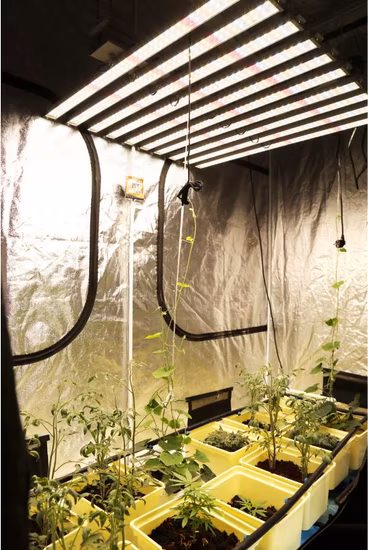 50W/75W/80W/100W/150W/300W/400W/450W/500W/600W/650W/700W/800W/900W/1000W/1200W/1500W COB/SMD LED Grow Light