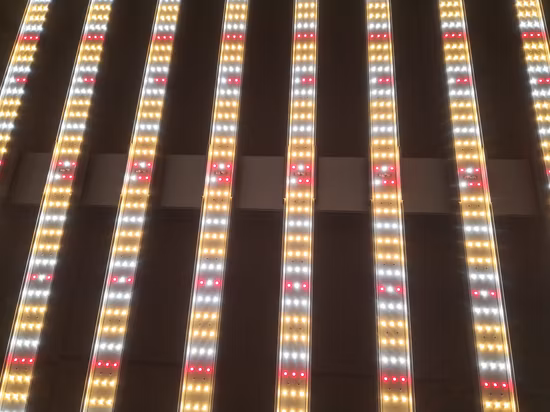 LED Horticultural Lighting LED Grow Light Bar for Flowering Stage