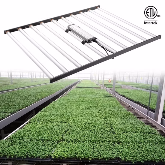 Sundro Sunplus S1000 PRO Horticulture Greenhouse Strips Lamp Full Sepctrum Dimmable Bar Plant 1000W LED Grow Light