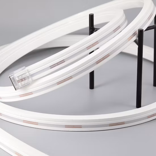 DC24/12V IP67 Waterproof Outdoor Use Neon Flexible LED Strip Light for Decoration